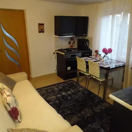 Ferienhaus Casuta Flori *